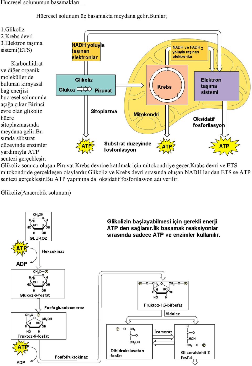 birinci evre olan glikoliz hücre sitoplazmasında meydana gelir.bu sırada sübstrat düzeyinde enzimler yardımıyla ATP sentezi gerçekleşir.