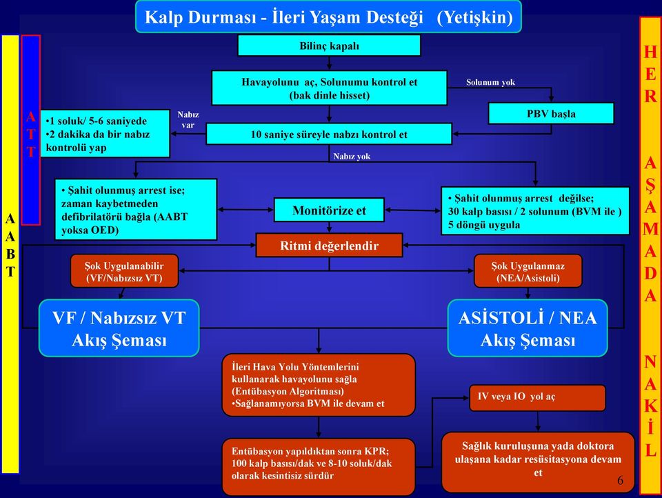 et Ritmi değerlendir İleri Hava Yolu Yöntemlerini kullanarak havayolunu sağla (Entübasyon Algoritması) Sağlanamıyorsa BVM ile devam et Entübasyon yapıldıktan sonra KPR; 100 kalp basısı/dak ve 8-10