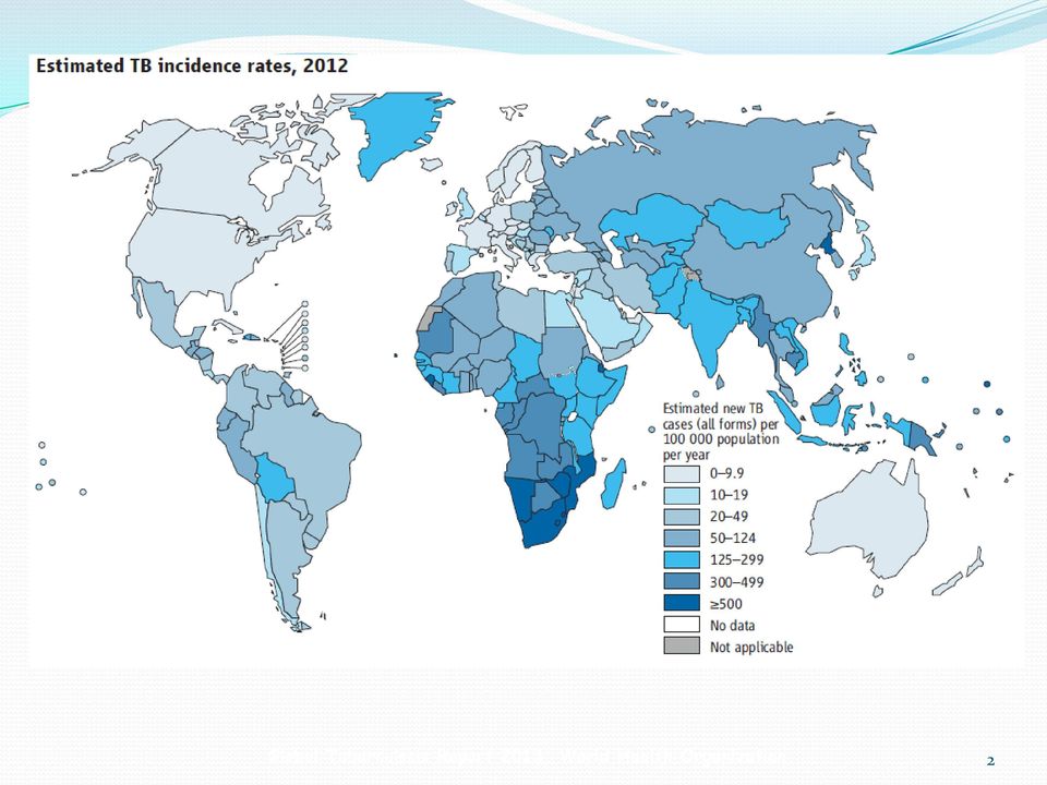 Report 2013,