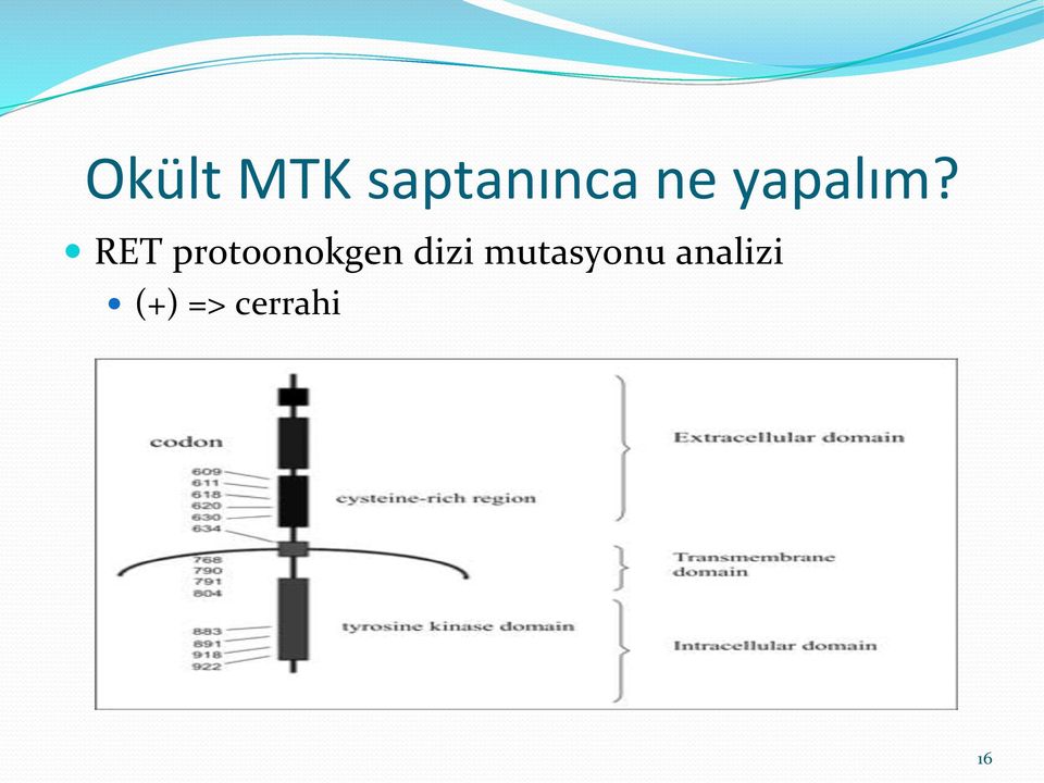 RET protoonokgen dizi