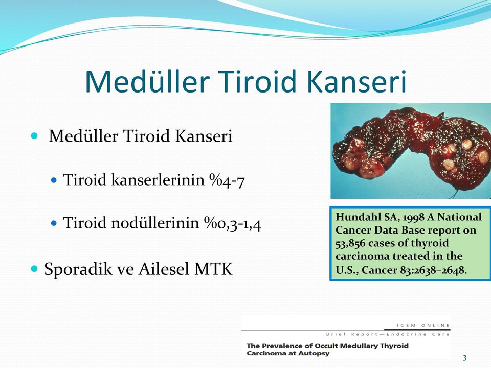 Ailesel MTK Hundahl SA, 1998 A National Cancer Data Base report