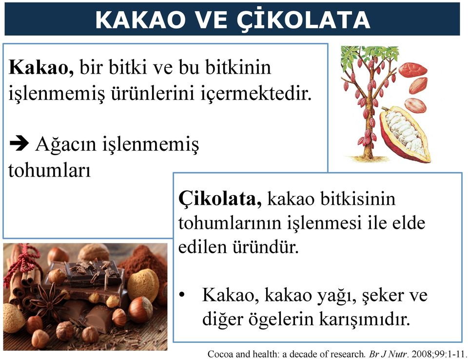 è Ağacın işlenmemiş tohumları Çikolata, kakao bitkisinin tohumlarının