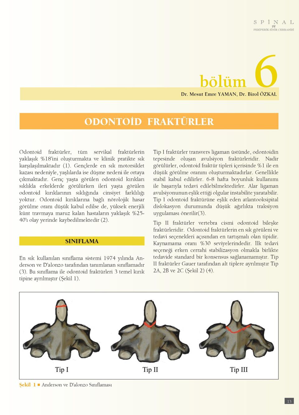 Genç yaşta görülen odontoid kırıkları sıklıkla erkeklerde görülürken ileri yaşta görülen odontoid kırıklarının sıklığında cinsiyet farklılığı yoktur.