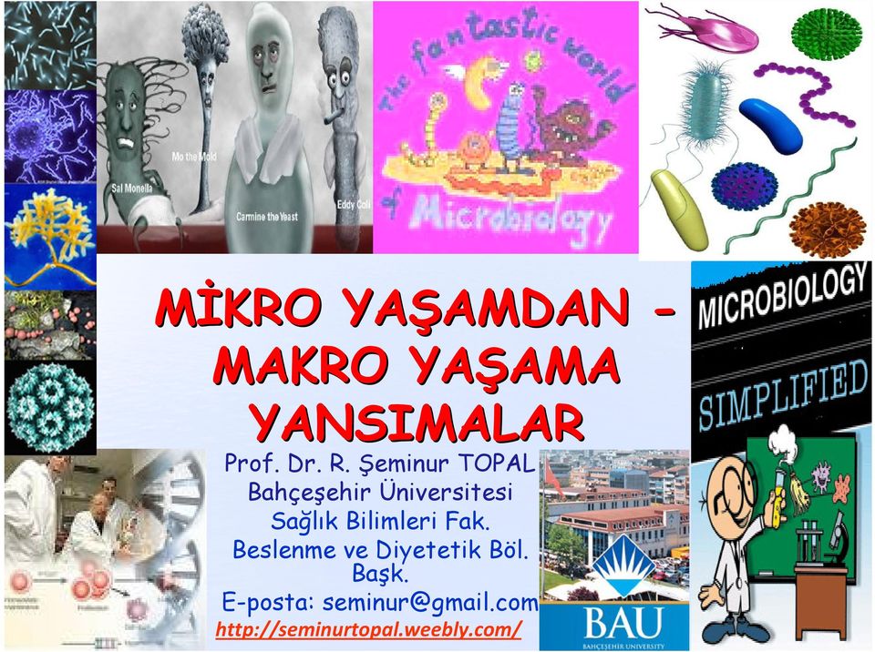 Şeminur TOPAL Bahçeşehir Üniversitesi Sağlık