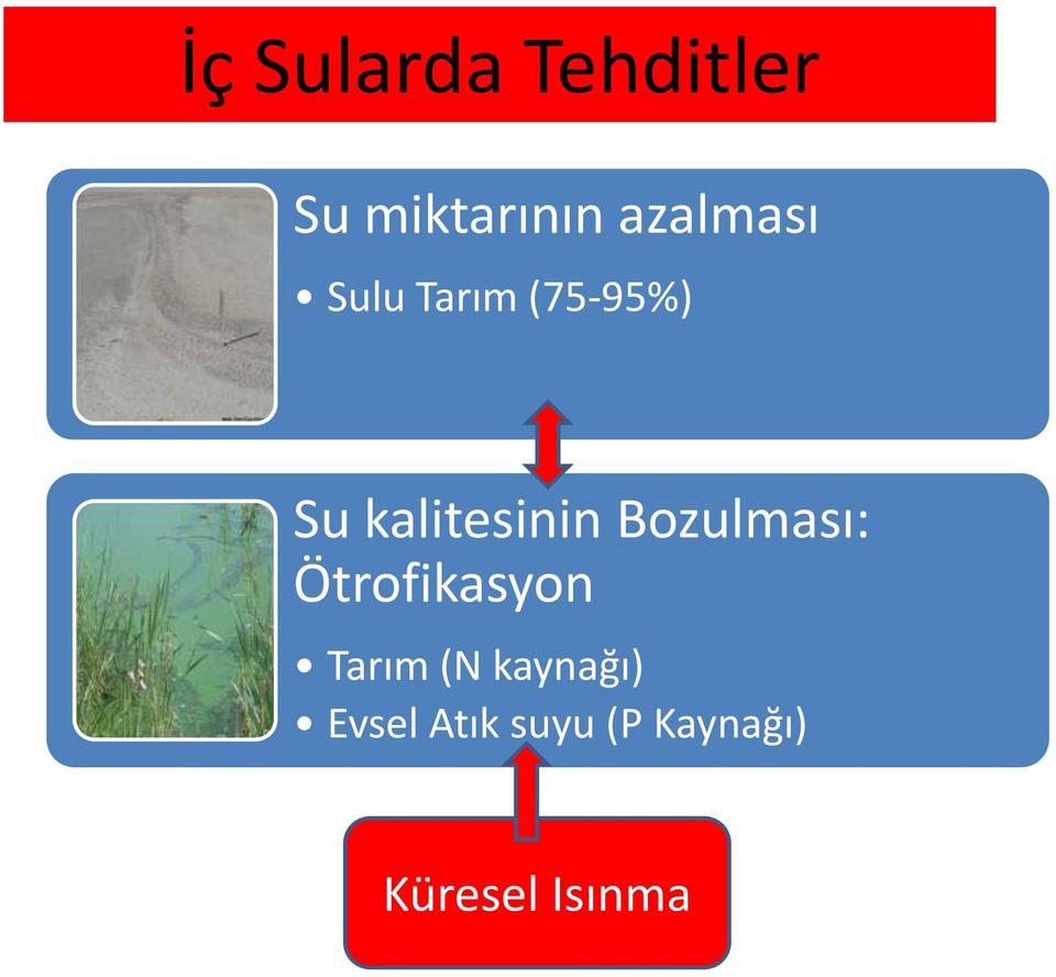 kalitesinin Bozulması: Ötrofikasyon