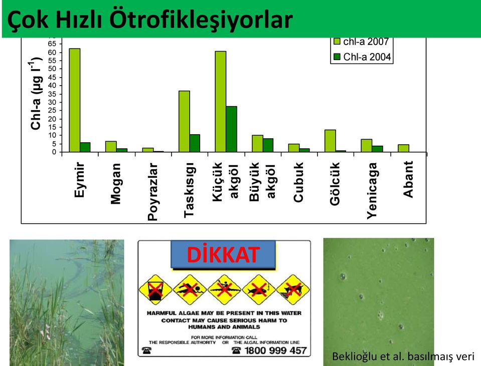 Ötrofikleşiyorlar 70 65 60 55 50 45 40 35 30 25 20 15 10