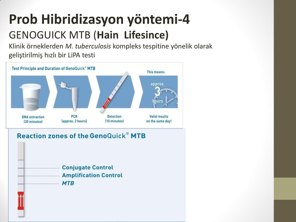 M. tuberculosis kompleks tespitine