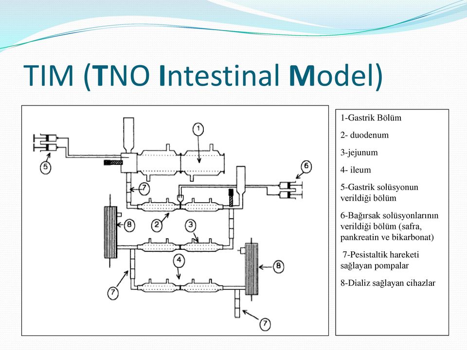 6-Bağırsak solüsyonlarının verildiği bölüm (safra, pankreatin