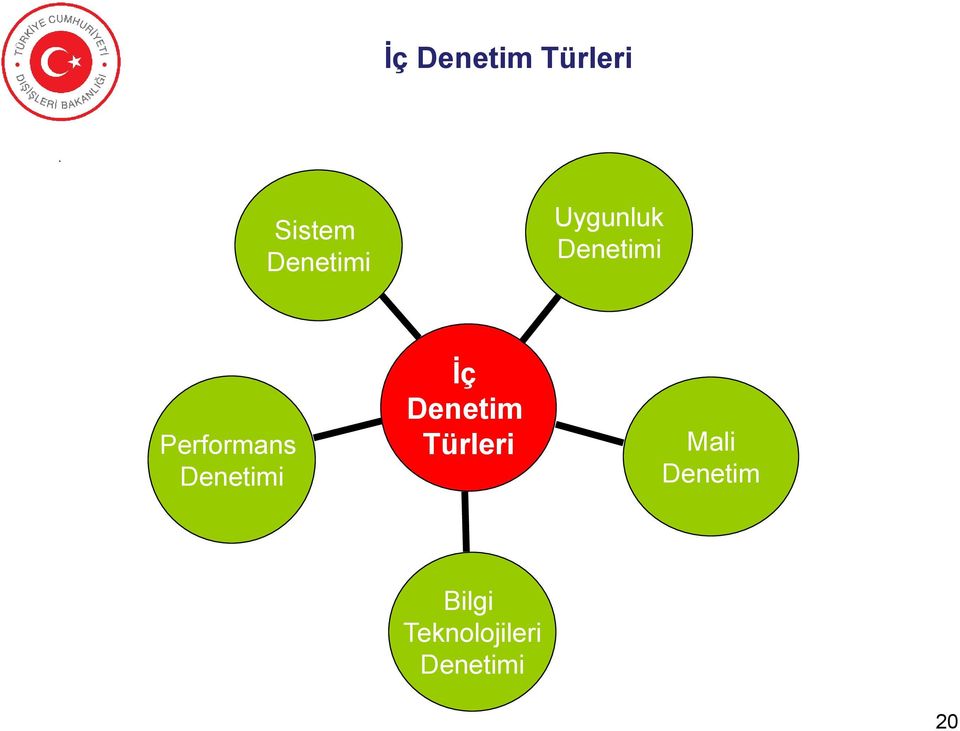 Performans Denetimi İç Denetim