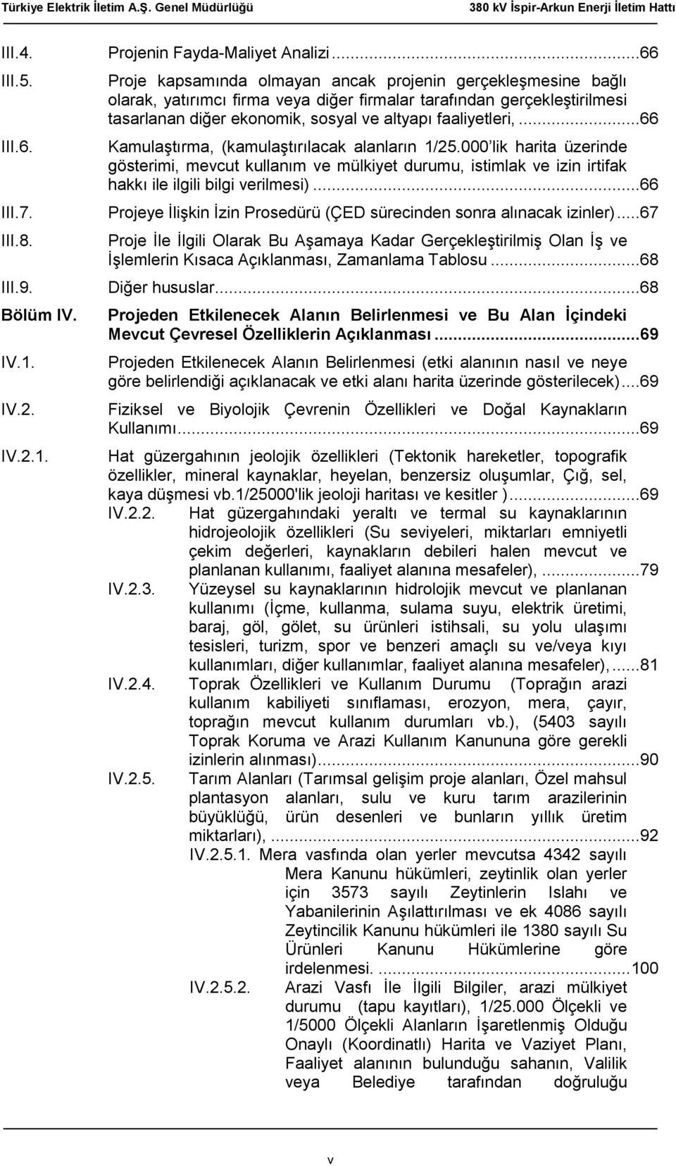 Proje kapsamında olmayan ancak projenin gerçekleşmesine bağlı olarak, yatırımcı firma veya diğer firmalar tarafından gerçekleştirilmesi tasarlanan diğer ekonomik, sosyal ve altyapı faaliyetleri,.