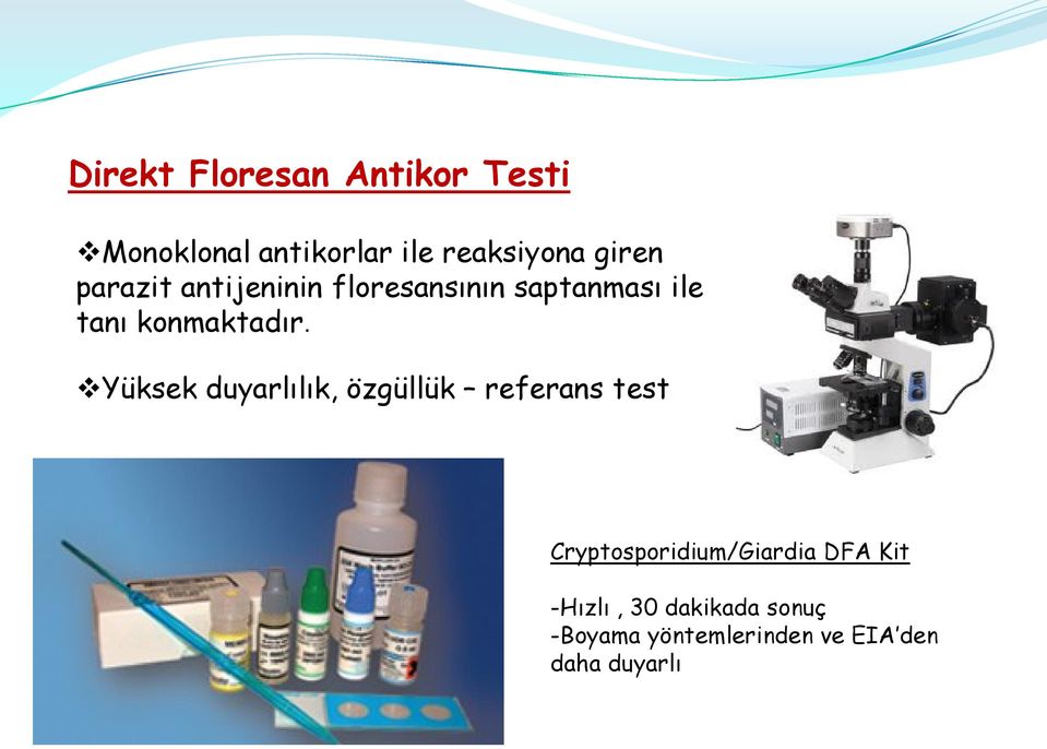 Yüksek duyarlılık, özgüllük referans test Cryptosporidium/Giardia DFA