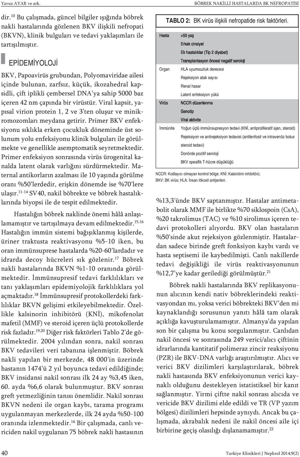 Viral kapsit, yapısal virion protein 1, 2 ve 3 ten oluşur ve minikromozomları meydana getirir.