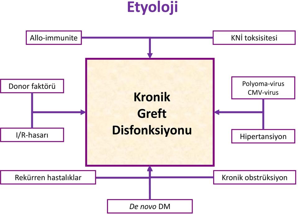 Disfonksiyonu Polyoma-virus CMV-virus