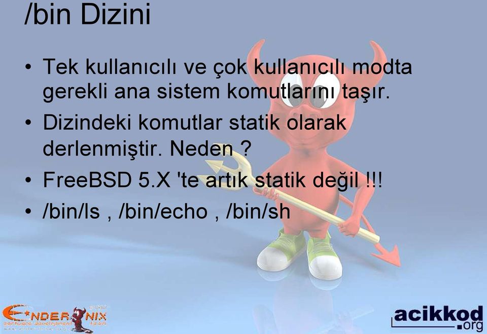 Dizindeki komutlar statik olarak derlenmiştir. Neden?