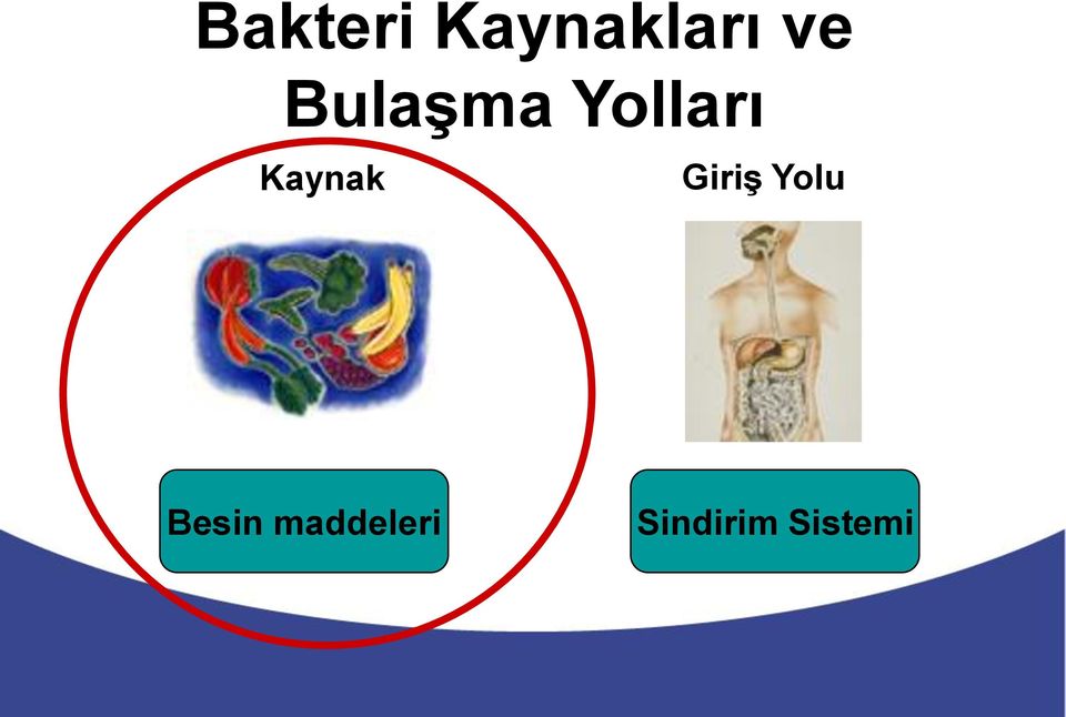 Kaynak GiriĢ Yolu