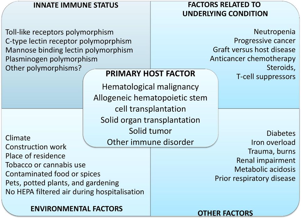 Climate Construction work Place of residence Tobacco or cannabis use Contaminated food or spices Pets, potted plants, and gardening No HEPA filtered air during hospitalisation PRIMARY HOST FACTOR