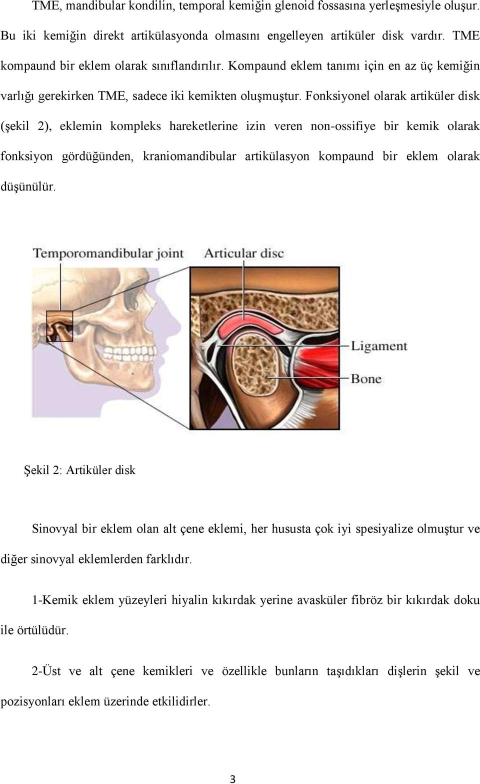 Fonksiyonel olarak artiküler disk (şekil 2), eklemin kompleks hareketlerine izin veren non-ossifiye bir kemik olarak fonksiyon gördüğünden, kraniomandibular artikülasyon kompaund bir eklem olarak