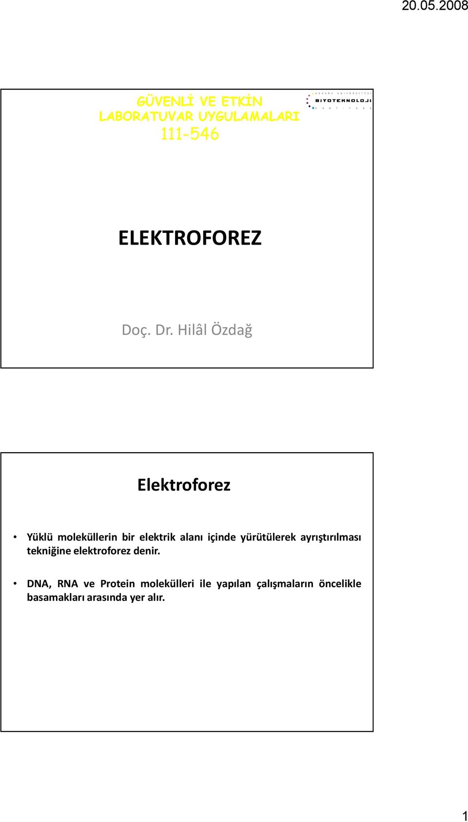 yürütülerek ayrıştırılması tekniğine elektroforez denir.