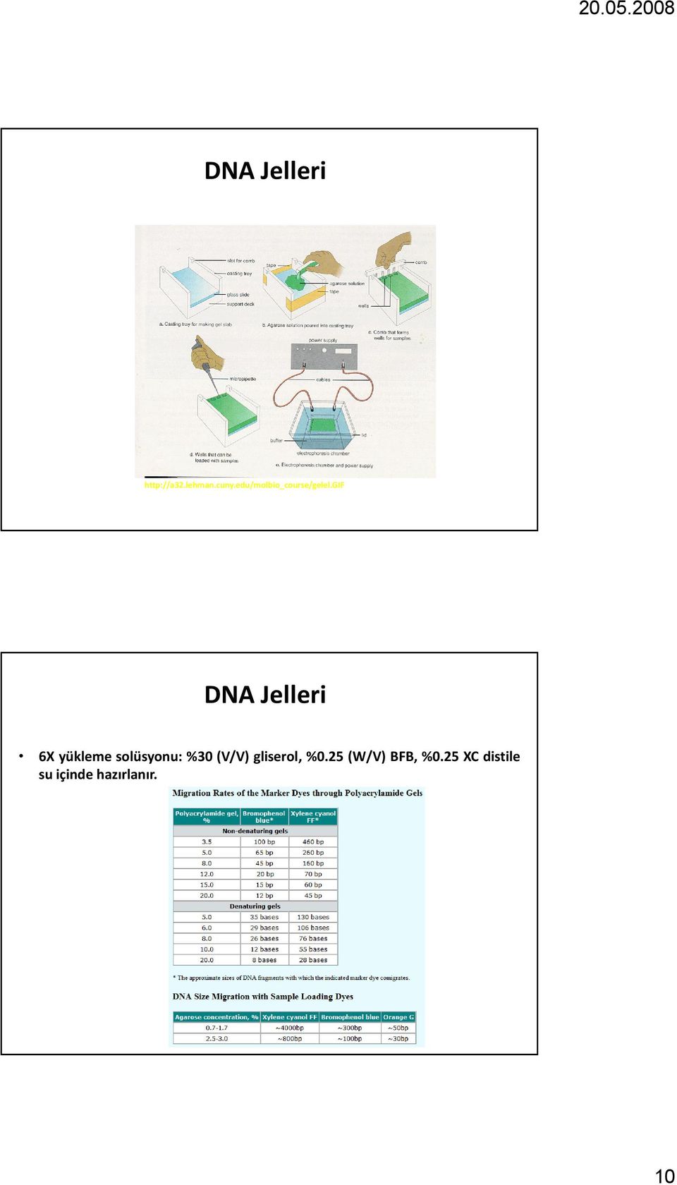 gif DNA Jelleri 6X yükleme solüsyonu: %30