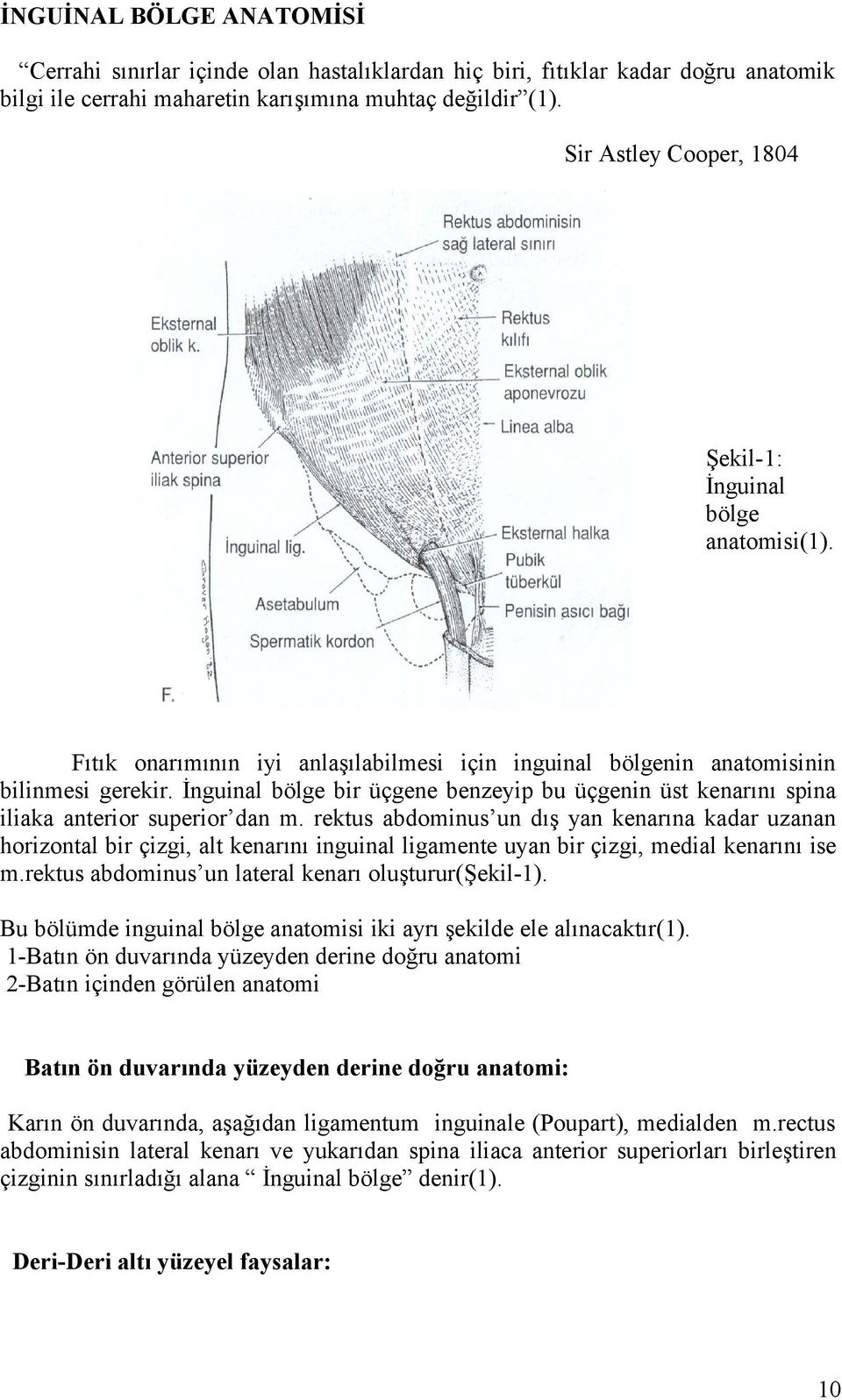 İnguinal bölge bir üçgene benzeyip bu üçgenin üst kenarını spina iliaka anterior superior dan m.