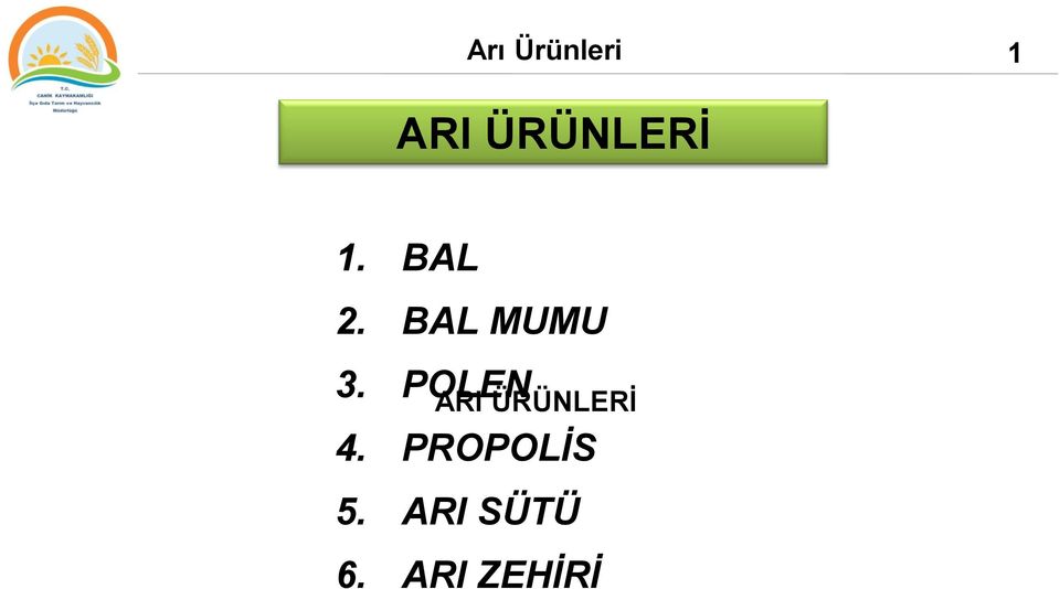 POLEN ARI ÜRÜNLERİ 4.