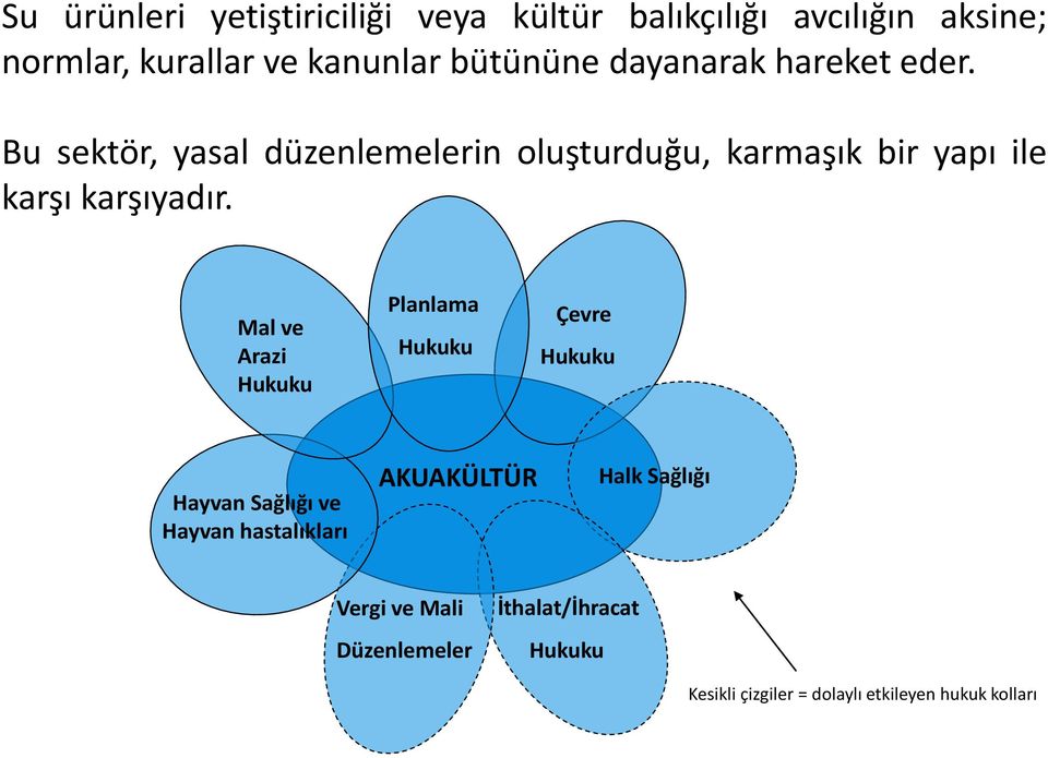 Bu sektör, yasal düzenlemelerin oluşturduğu, karmaşık bir yapı ile karşı karşıyadır.