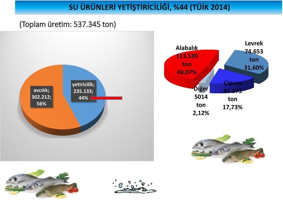 Alabalık 113.539 ton 48,07% Levrek 74.