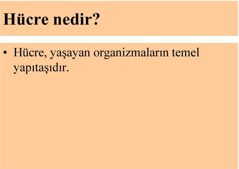 organizmaların