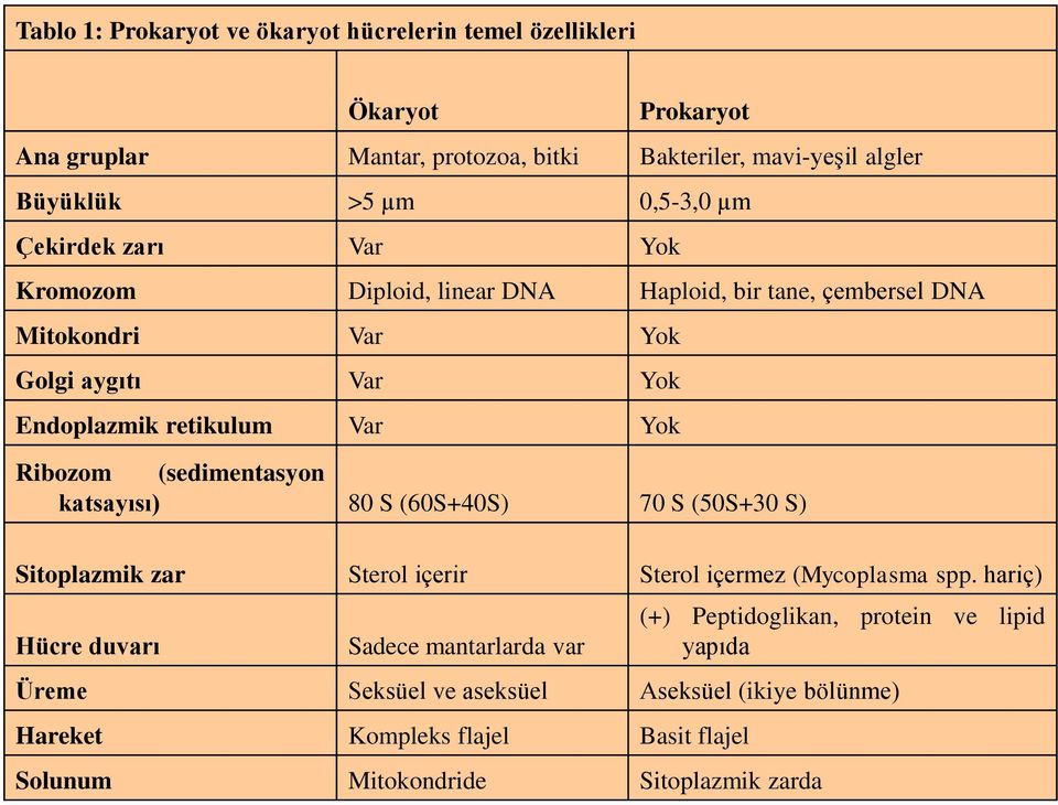 (sedimentasyon katsayısı) 80 S (60S+40S) 70 S (50S+30 S) Sitoplazmik zar Sterol içerir Sterol içermez (Mycoplasma spp.