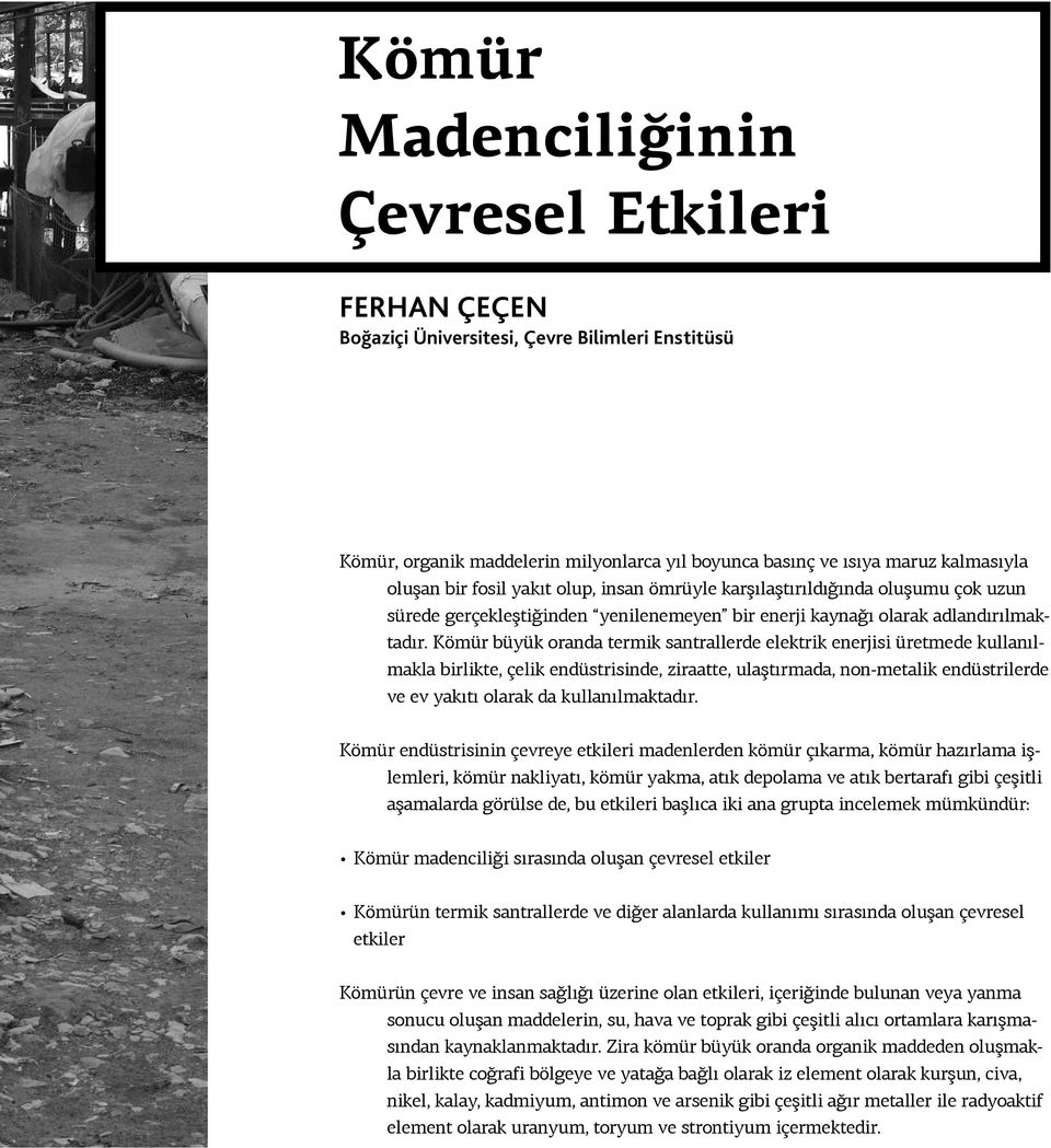 Kömür büyük oranda termik santrallerde elektrik enerjisi üretmede kullanılmakla birlikte, çelik endüstrisinde, ziraatte, ulaştırmada, non-metalik endüstrilerde ve ev yakıtı olarak da kullanılmaktadır.