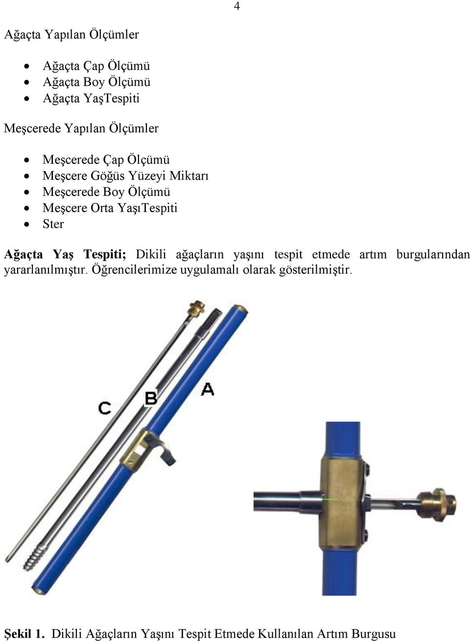 Ağaçta Yaş Tespiti; Dikili ağaçların yaşını tespit etmede artım burgularından yararlanılmıştır.