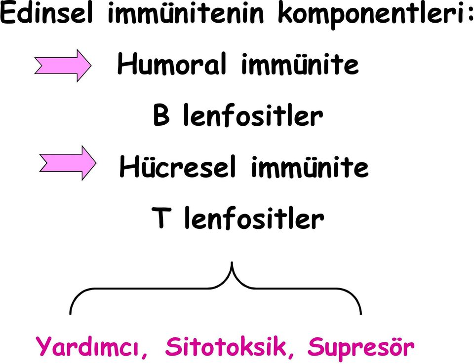 B lenfositler Hücresel immünite
