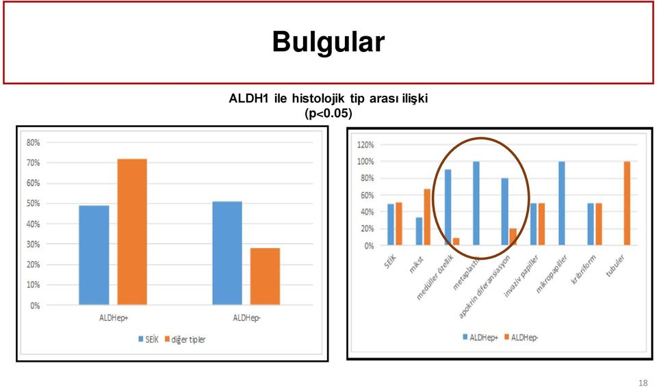 tip arası