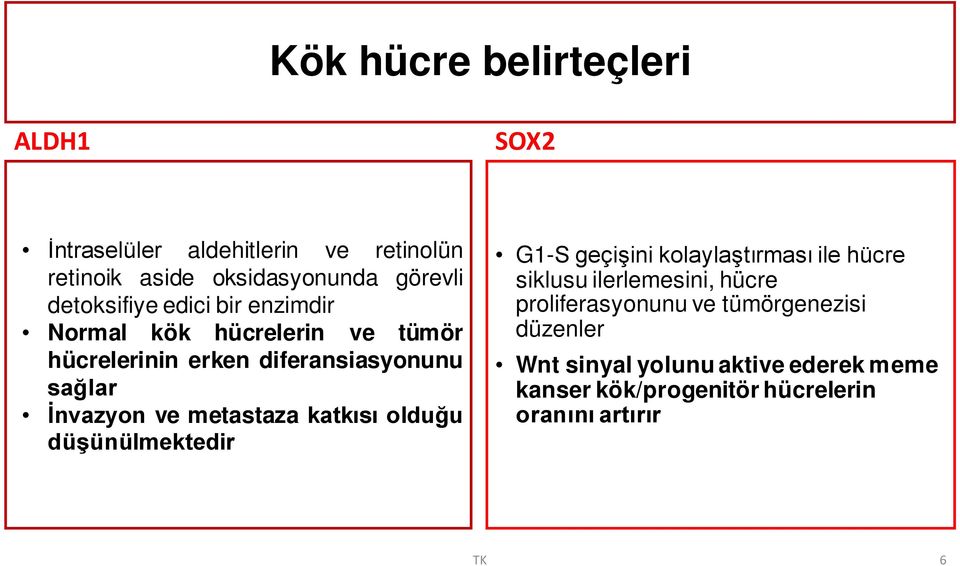 metastaza katkısı olduğu düşünülmektedir G1-S geçişini kolaylaştırması ile hücre siklusu ilerlemesini, hücre