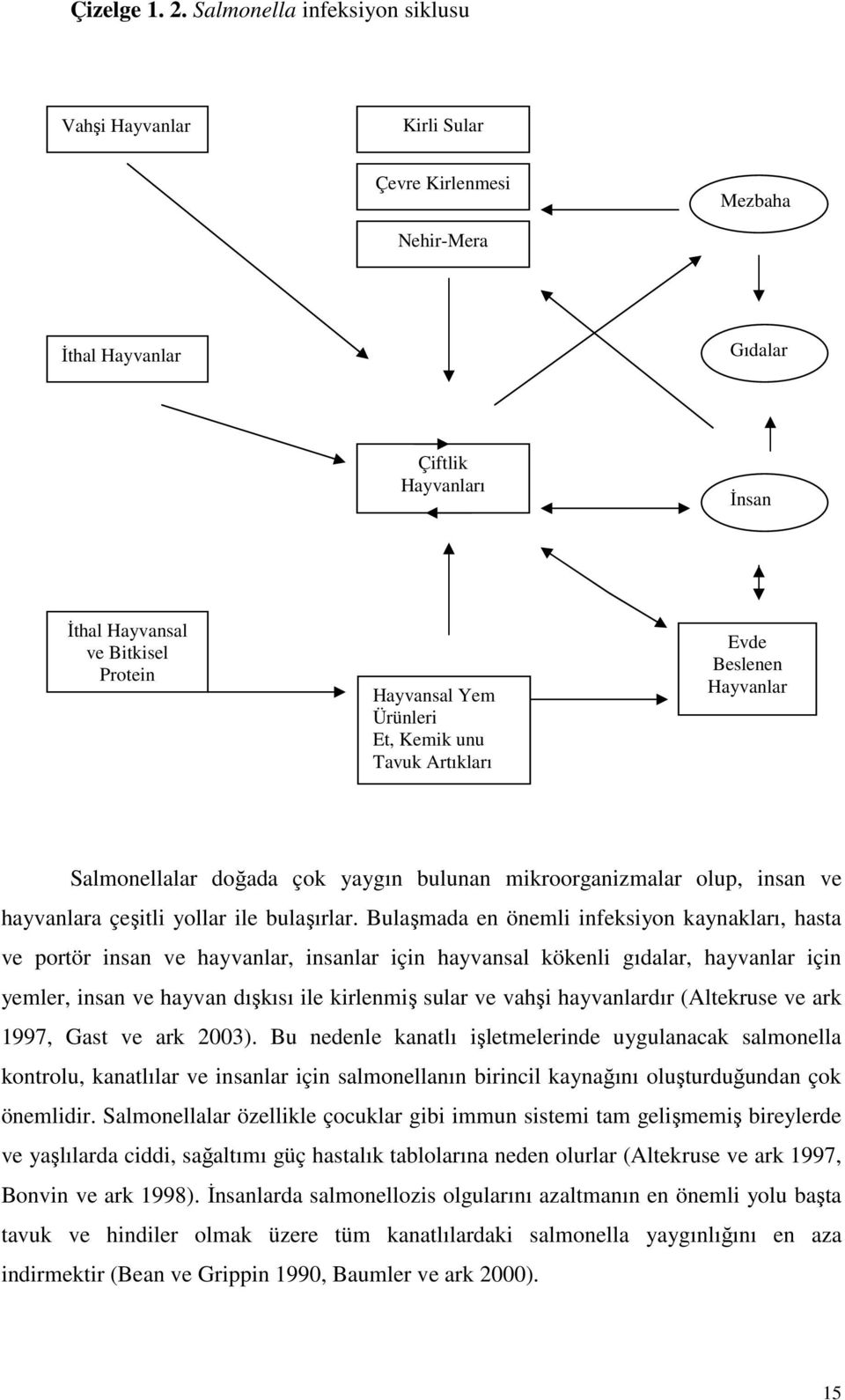 Ürünleri Et, Kemik unu Tavuk Artıkları Evde Beslenen Hayvanlar Salmonellalar doğada çok yaygın bulunan mikroorganizmalar olup, insan ve hayvanlara çeşitli yollar ile bulaşırlar.