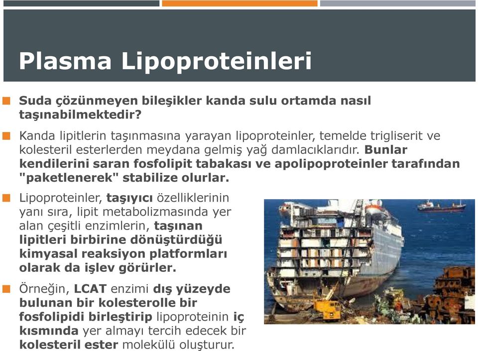 Bunlar kendilerini saran fosfolipit tabakası ve apolipoproteinler tarafından "paketlenerek" stabilize olurlar.