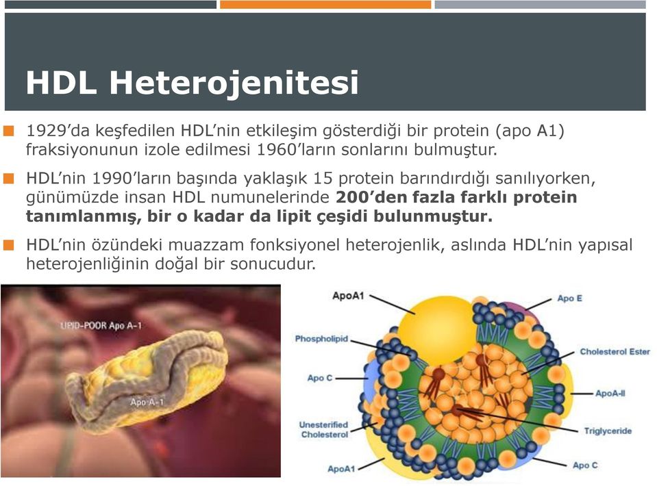 HDL nin 1990 ların başında yaklaşık 15 protein barındırdığı sanılıyorken, günümüzde insan HDL numunelerinde 200