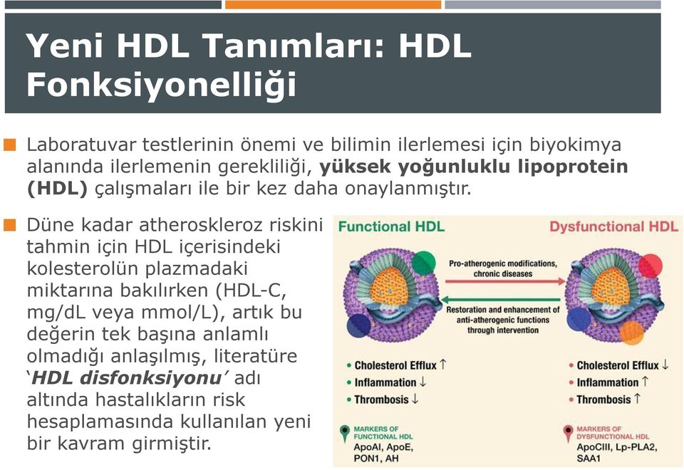 Düne kadar atheroskleroz riskini tahmin için HDL içerisindeki kolesterolün plazmadaki miktarına bakılırken (HDL-C, mg/dl veya