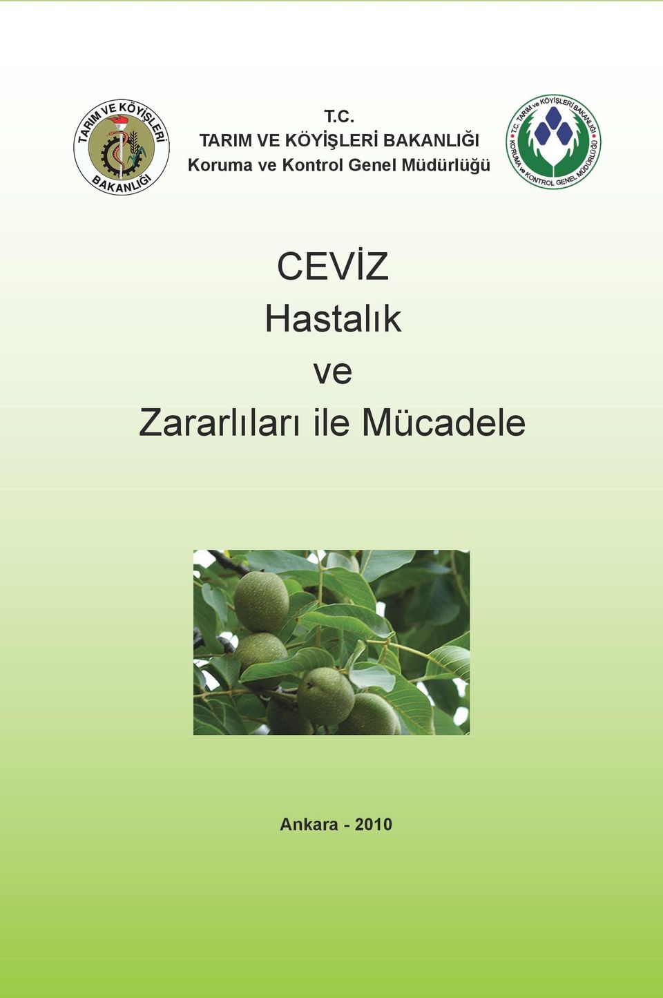 Genel Müdürlüğü CEVİZ