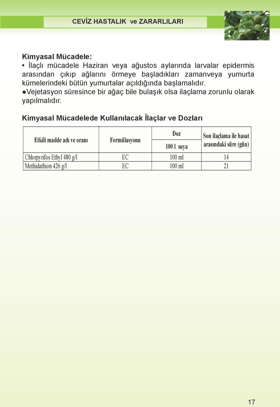 Haziran a ustos aylar nda zararl ile bula k a açlarda oluklu karton erit (tuzak bant), saman otlardan yap lm ku aklar (50-60cm Kimyasal Amerikan beyazkelebe i Mücadele: zarar uzunlu unda 10 cm