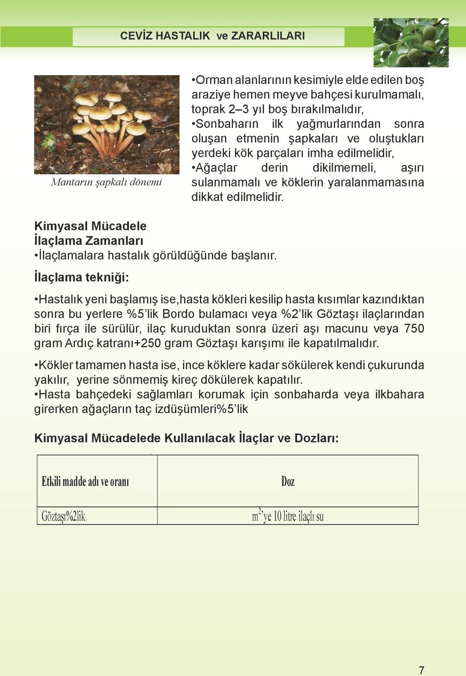 lmal d r, al nmal d r, A aç kökündeki görünümü A açlar sa lam Orman Orman sa l kl alanlarının alanlar n n yeti tirilmeli, kesimiyle bunun kesimiyle için elde tekni in elde edilen gerektirdi i edilen