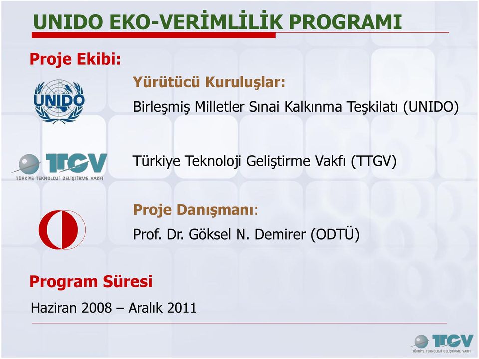 (UNIDO) Türkiye Teknoloji Geliştirme Vakfı (TTGV) Proje