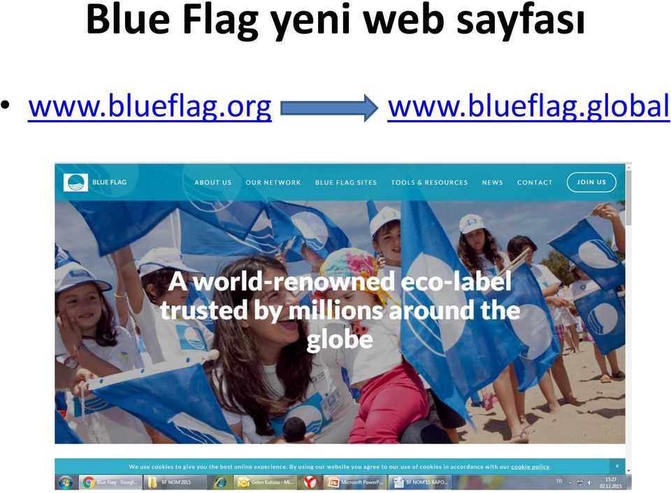 blueflag.