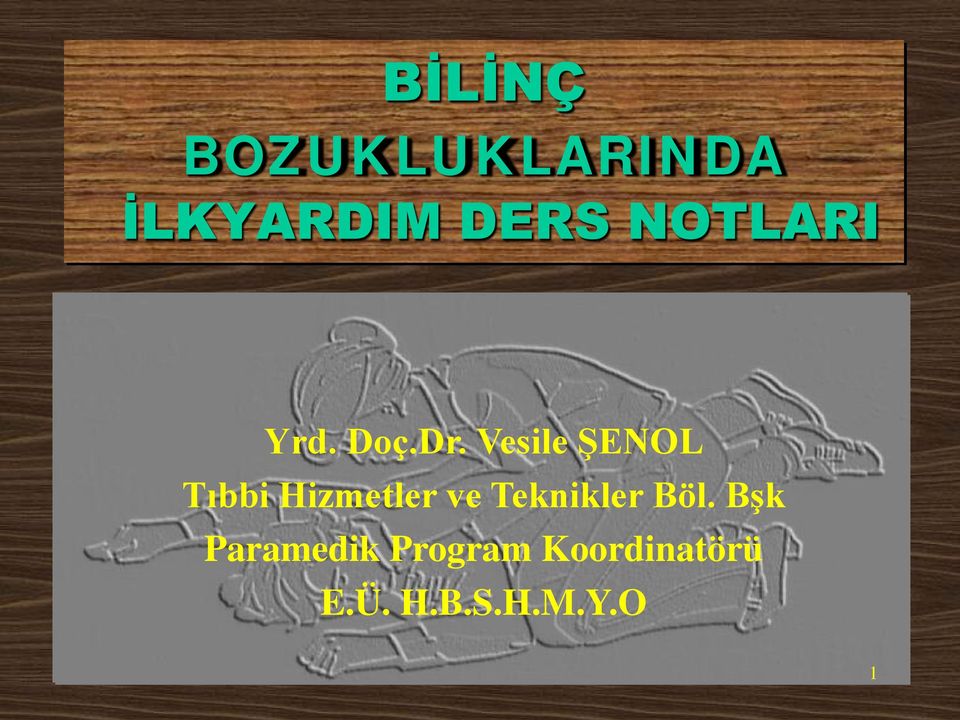 Vesile ŞENOL Tıbbi Hizmetler ve