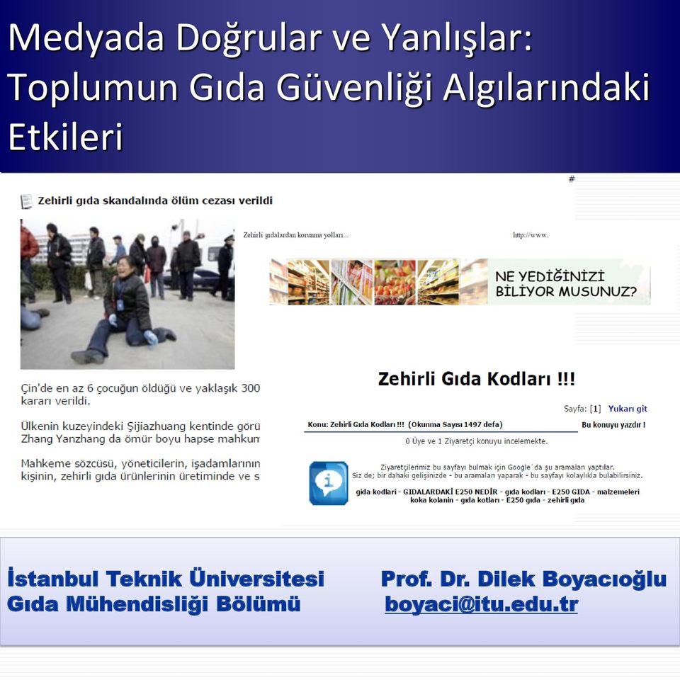 İstanbul Teknik Üniversitesi Gıda