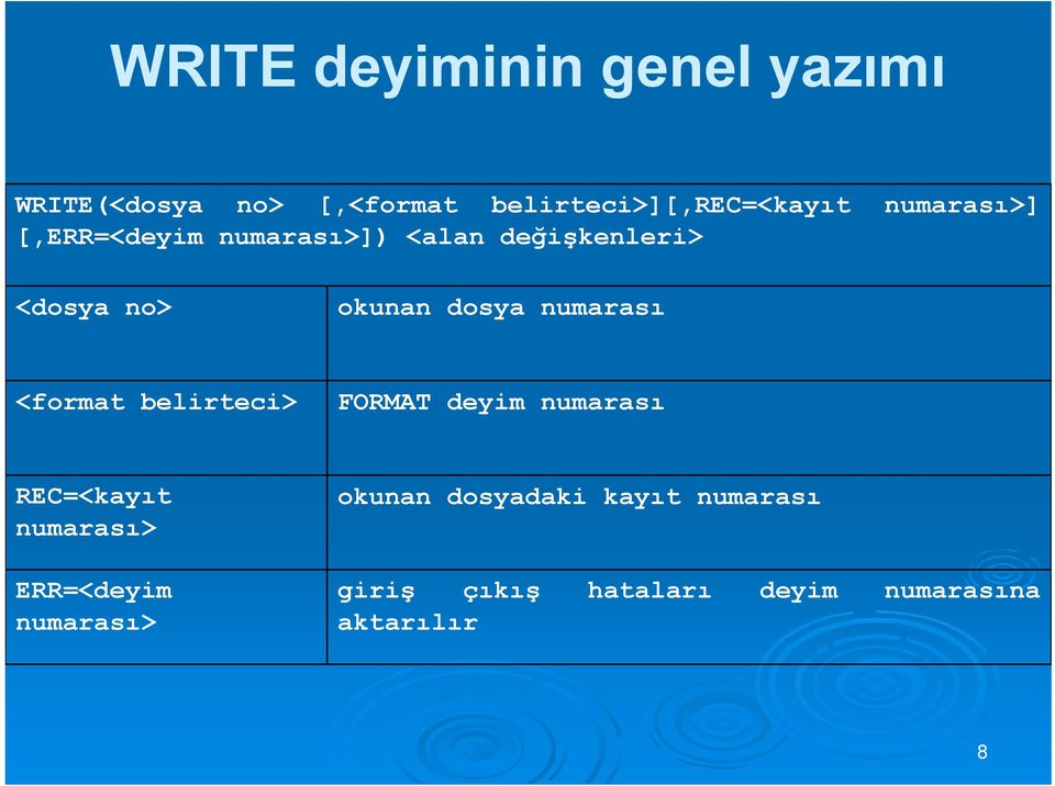 numarası <format belirteci> FORMAT deyim numarası REC=<kayıt numarası> ERR=<deyim