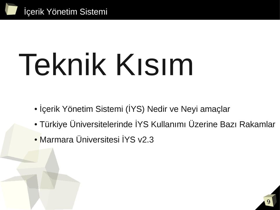 Türkiye Üniversitelerinde İYS Kullanımı