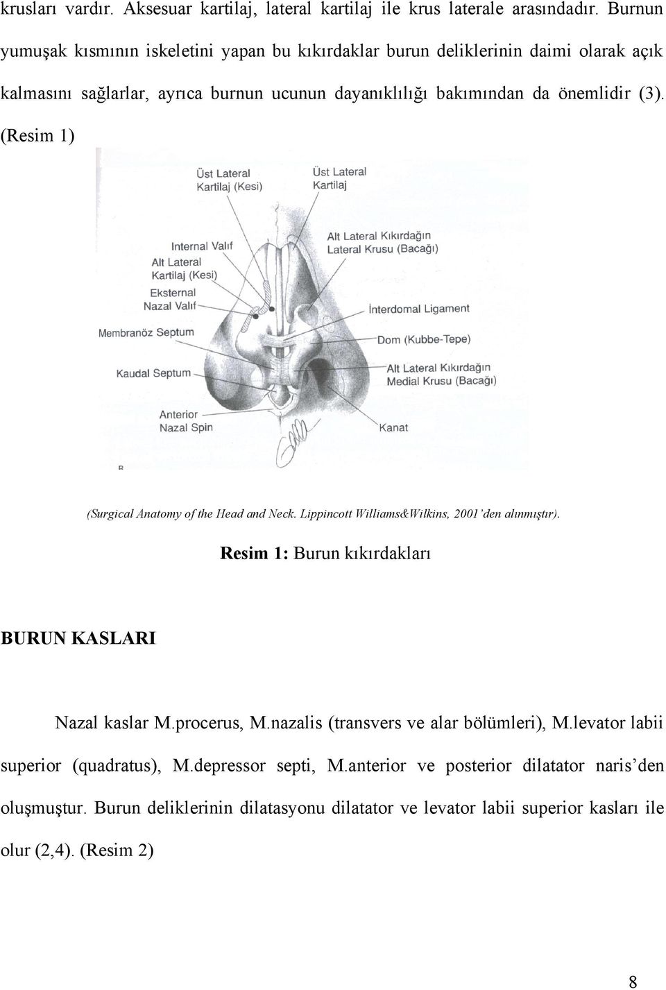 önemlidir (3). (Resim 1) (Surgical Anatomy of the Head and Neck. Lippincott Williams&Wilkins, 2001 den alınmıştır).
