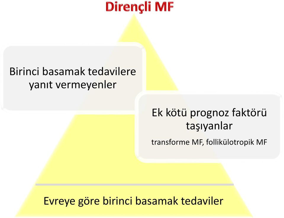 taşıyanlar transforme MF,