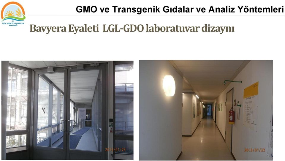 LGL-GDO